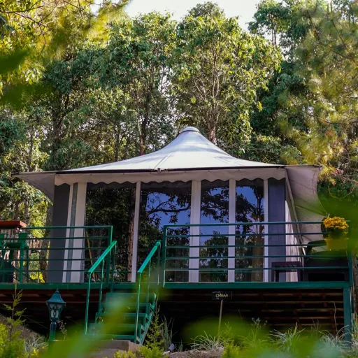 Écolodge niché au cœur d'une forêt luxuriante