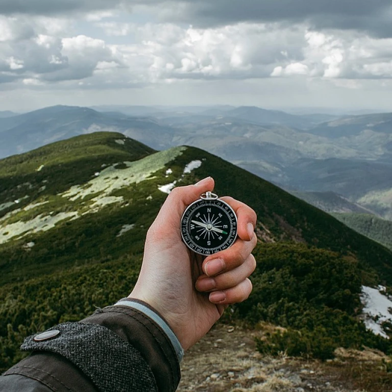 Optimiser votre marketing avec un écran pour vitrine