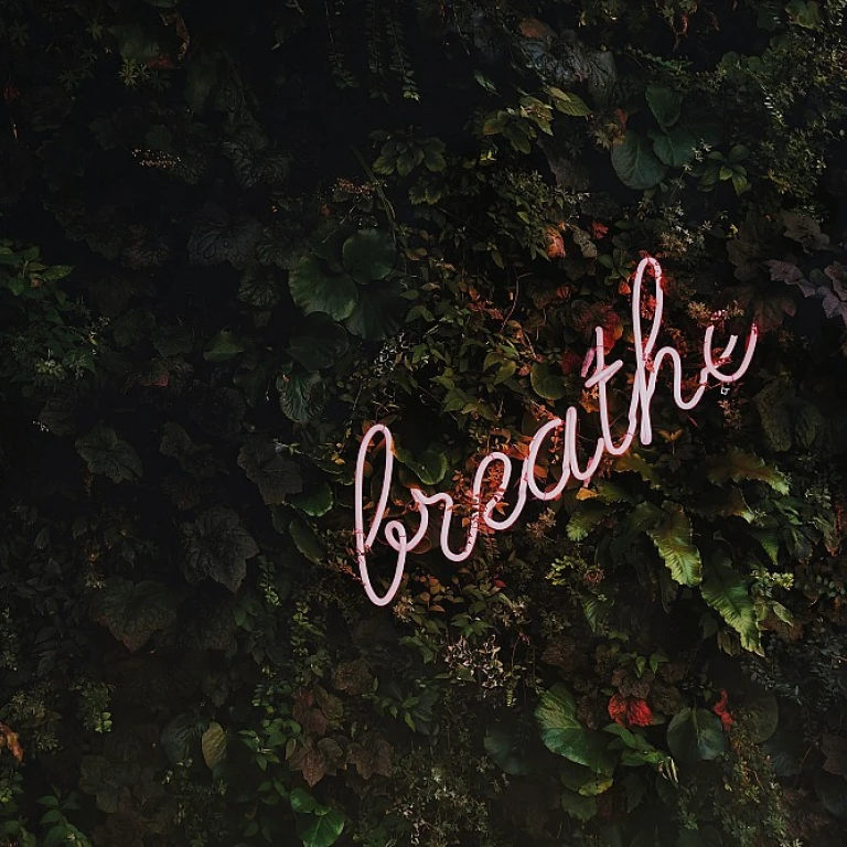 Optimiser l'écriture script pour un modèle efficace