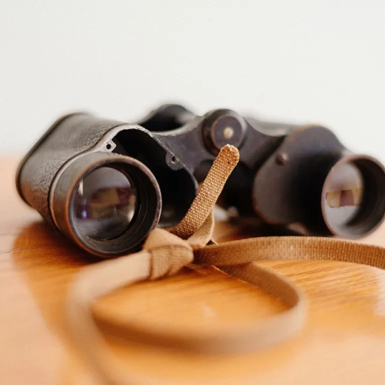 Créer un écosystème numérique : marketplace de partenaires pour les médias digitaux