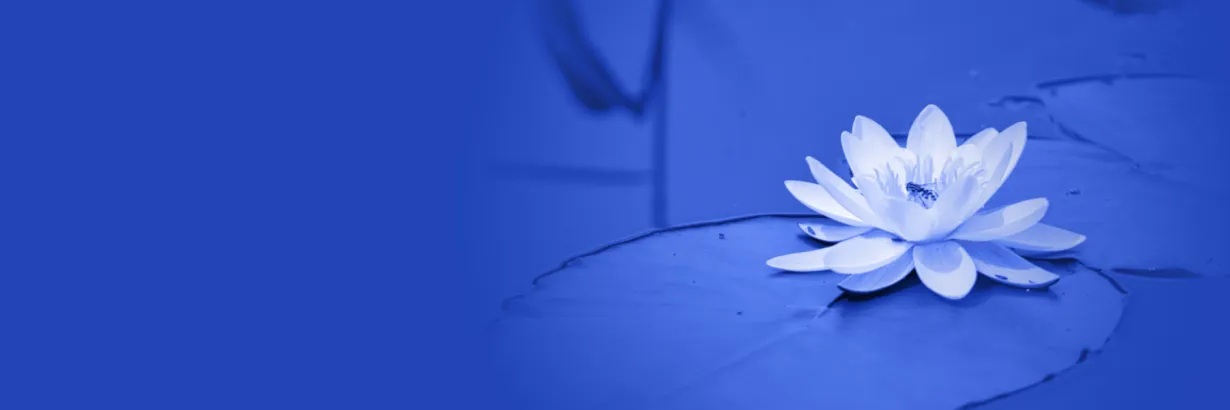 Devenez connu, et reconnu