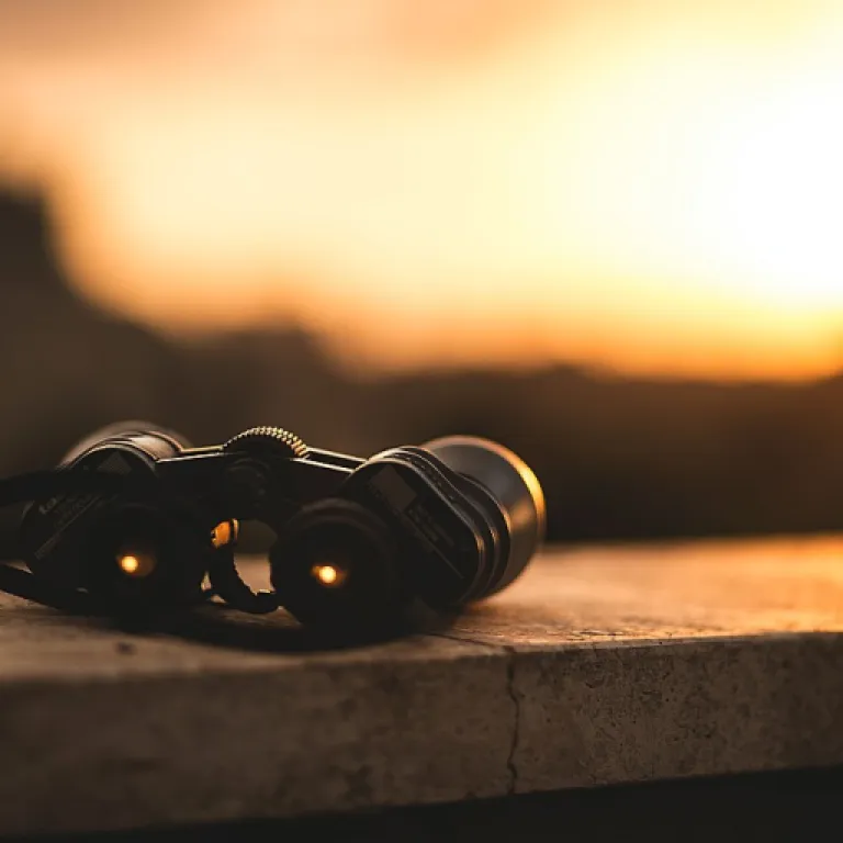 Comment l’intelligence artificielle accélère le time to market SEO pour les nouveaux médias digitaux